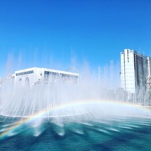 Meet your Posher, Ivy